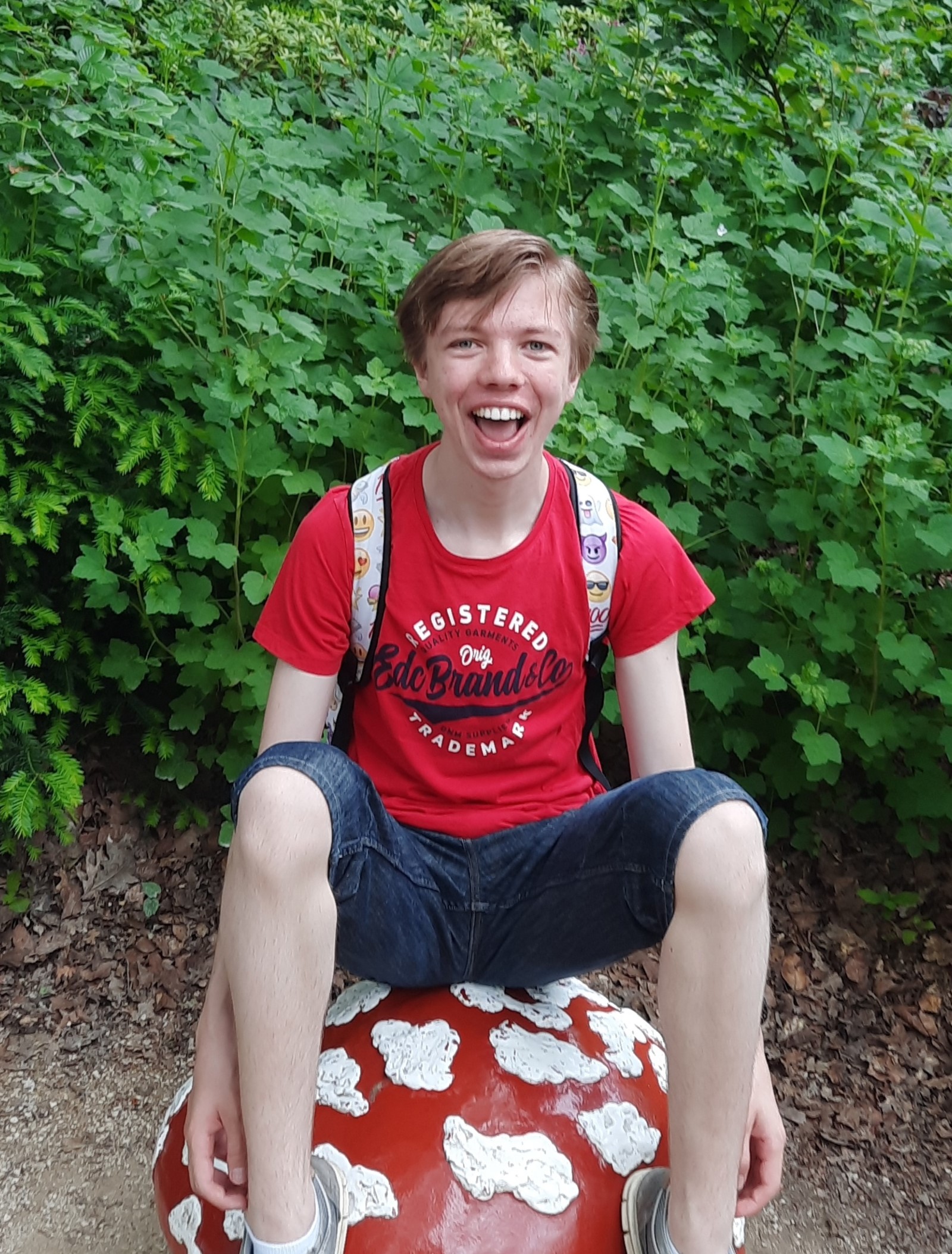 Niels de Laat - Game Developer